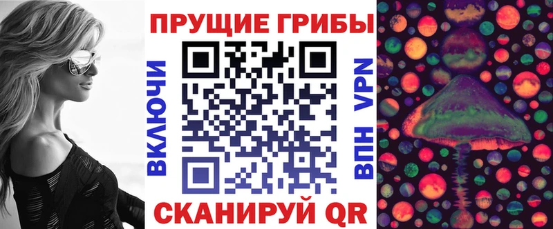 купить наркоту Зерноград Галлюциногенные грибы прущие грибы