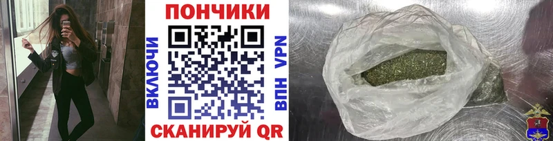Бошки марихуана конопля  закладка  MEGA ONION  Зерноград 